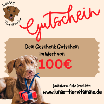 Gutschein_100